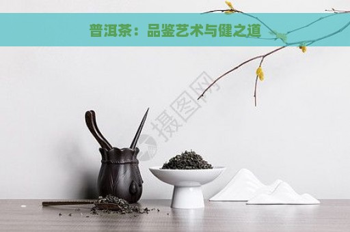 普洱茶：品鉴艺术与健之道