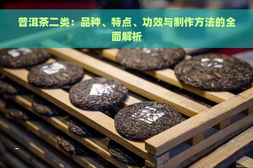 普洱茶二类：品种、特点、功效与制作方法的全面解析