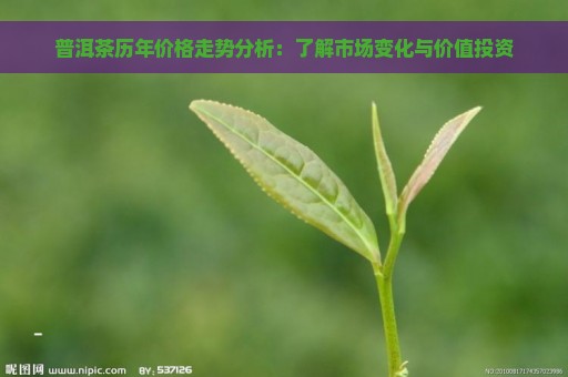 普洱茶历年价格走势分析：了解市场变化与价值投资