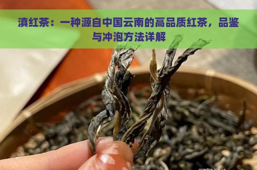 滇红茶：一种源自中国云南的高品质红茶，品鉴与冲泡方法详解