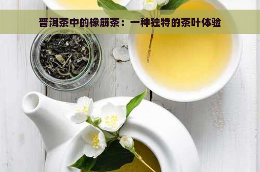 普洱茶中的橡筋茶：一种独特的茶叶体验