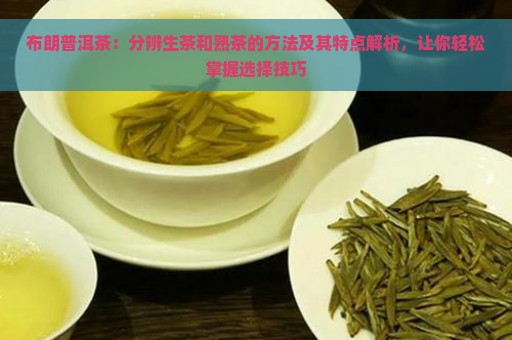 布朗普洱茶：分辨生茶和熟茶的方法及其特点解析，让你轻松掌握选择技巧