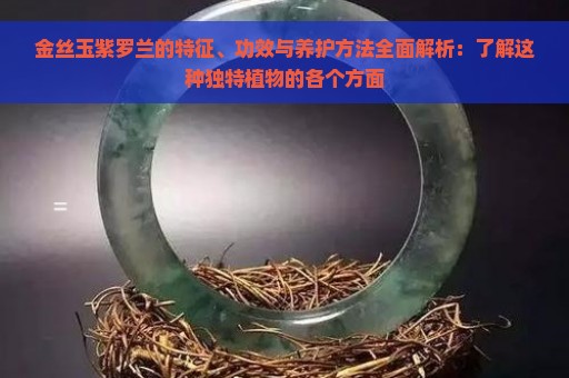 金丝玉紫罗兰的特征、功效与养护方法全面解析：了解这种独特植物的各个方面