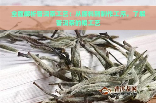 全面解析普洱茶工艺：从原料到制作工序，了解普洱茶的精工艺