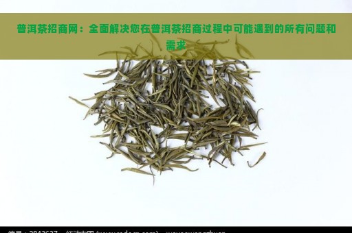 普洱茶招商网：全面解决您在普洱茶招商过程中可能遇到的所有问题和需求