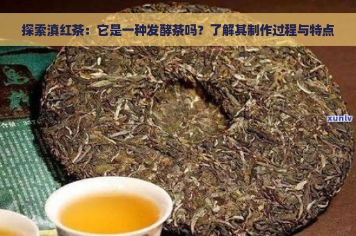 探索滇红茶：它是一种发酵茶吗？了解其制作过程与特点