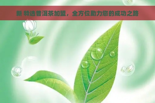 新 特选普洱茶加盟，全方位助力您的成功之路