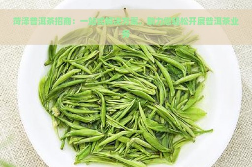 菏泽普洱茶招商：一站式解决方案，助力您轻松开展普洱茶业务