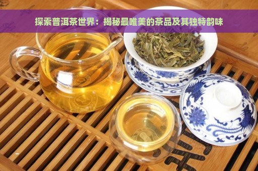 探索普洱茶世界：揭秘最唯美的茶品及其独特韵味