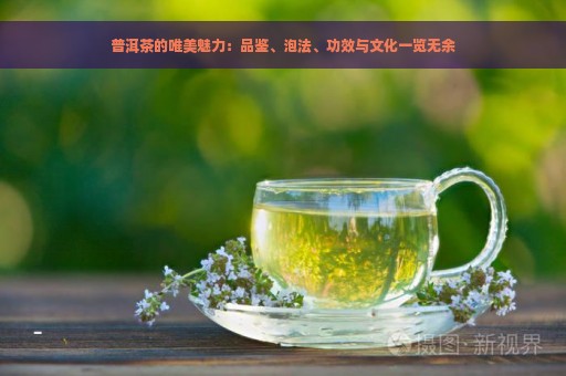 普洱茶的唯美魅力：品鉴、泡法、功效与文化一览无余