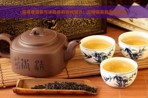 探寻普洱茶与冰岛茶的独特魅力：三种茶品的品鉴之旅