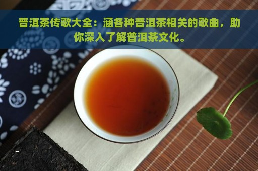 普洱茶传歌大全：涵各种普洱茶相关的歌曲，助你深入了解普洱茶文化。