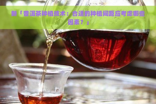 新「普洱茶种植技术：合适的种植间距应考虑哪些因素？」