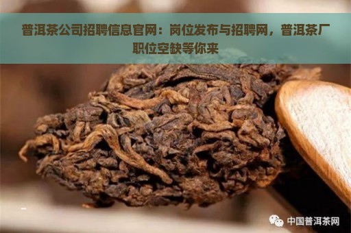 普洱茶公司招聘信息官网：岗位发布与招聘网，普洱茶厂职位空缺等你来