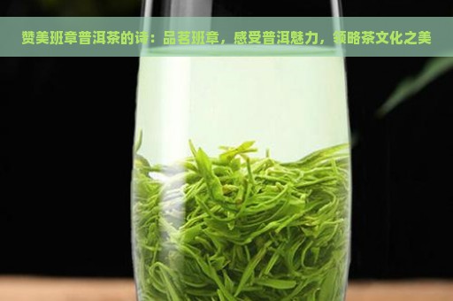 赞美班章普洱茶的诗：品茗班章，感受普洱魅力，领略茶文化之美