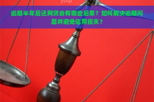 逾期半年后还网贷会有哪些后果？如何解决逾期问题并避免信用损失？