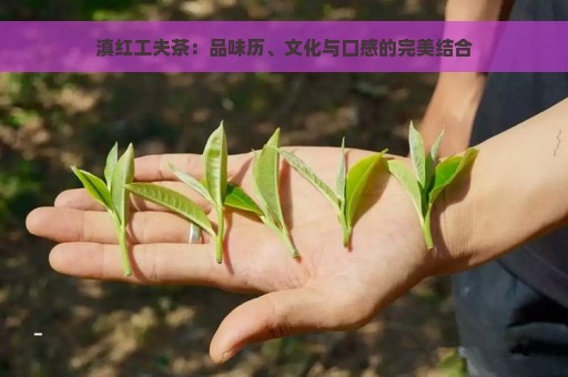 滇红工夫茶：品味历、文化与口感的完美结合