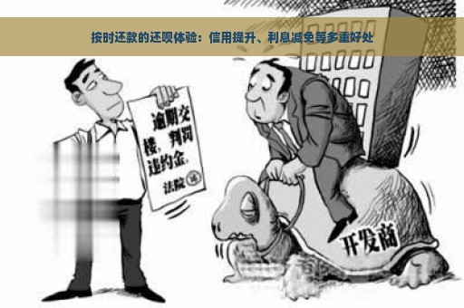 按时还款的还呗体验：信用提升、利息减免等多重好处