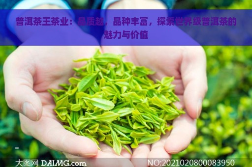 普洱茶王茶业：品质越，品种丰富，探索世界级普洱茶的魅力与价值