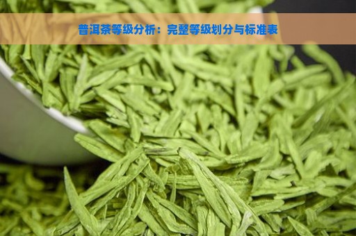 普洱茶等级分析：完整等级划分与标准表