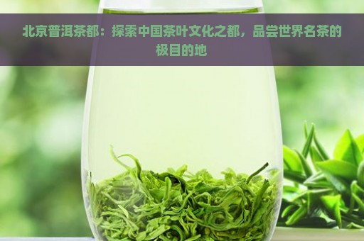 北京普洱茶都：探索中国茶叶文化之都，品尝世界名茶的极目的地