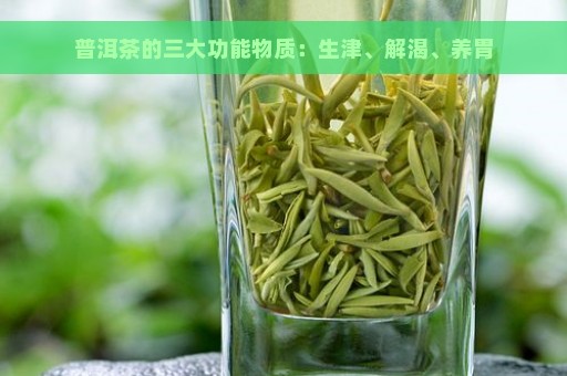 普洱茶的三大功能物质：生津、解渴、养胃