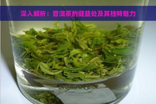 深入解析：普洱茶的健益处及其独特魅力