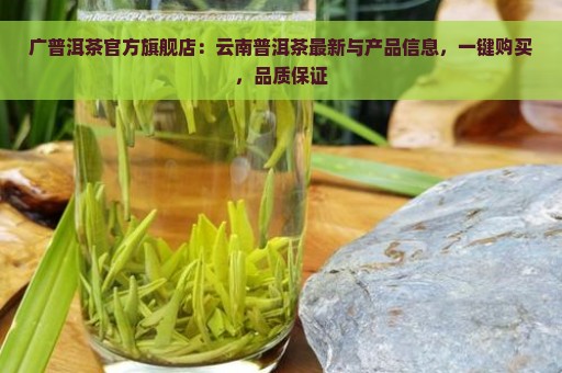 广普洱茶官方旗舰店：云南普洱茶最新与产品信息，一键购买，品质保证