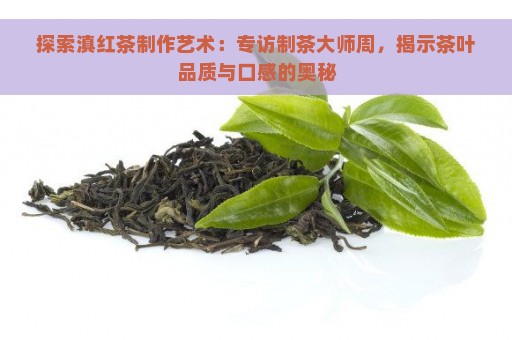 探索滇红茶制作艺术：专访制茶大师周，揭示茶叶品质与口感的奥秘