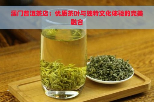 澳门普洱茶店：优质茶叶与独特文化体验的完美融合