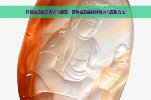 详解岫玉的天青冻与翡翠：两种宝石的独特魅力与鉴别方法