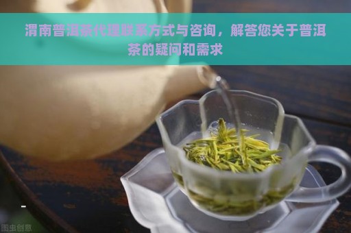 渭南普洱茶代理联系方式与咨询，解答您关于普洱茶的疑问和需求