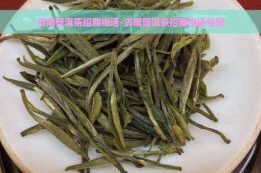 济南普洱茶招商电话-济南普洱茶招商电话号码