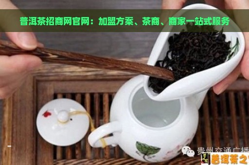 普洱茶招商网官网：加盟方案、茶商、商家一站式服务