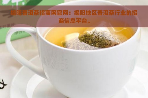 揭阳普洱茶招商网官网：揭阳地区普洱茶行业的招商信息平台。