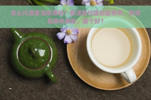 怎么代理普洱茶赚钱？普洱茶代理加盟费用、利润和条件解析，哪个好？