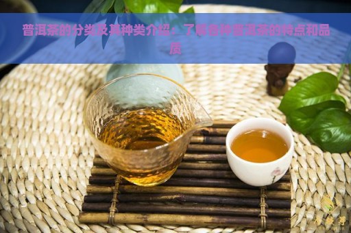 普洱茶的分类及其种类介绍：了解各种普洱茶的特点和品质