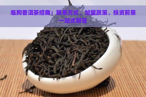 临朐普洱茶招商：联系方式、加盟政策、投资前景一站式解答