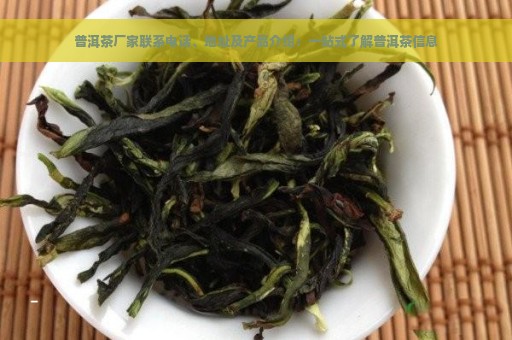 普洱茶厂家联系电话、地址及产品介绍：一站式了解普洱茶信息