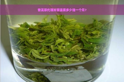 普洱茶代理加盟需要多少钱一个月？