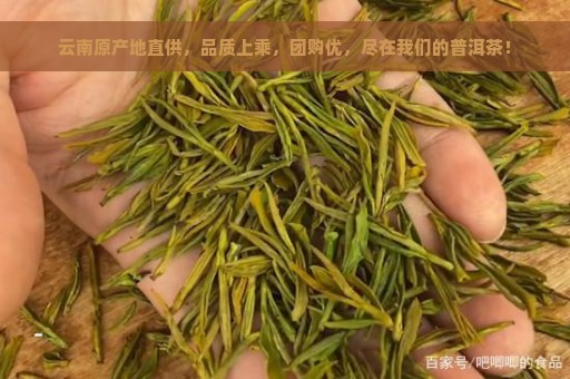 云南原产地直供，品质上乘，团购优，尽在我们的普洱茶！