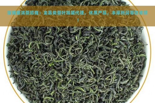 淄博普洱茶招商：全品类茶叶加盟代理，优质产品，丰厚利润等您来领！