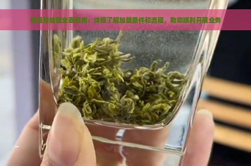 普洱茶加盟全面指南：详细了解加盟条件和流程，助您顺利开展业务