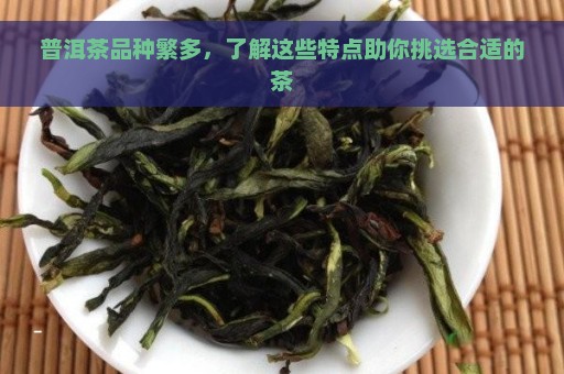 普洱茶品种繁多，了解这些特点助你挑选合适的茶