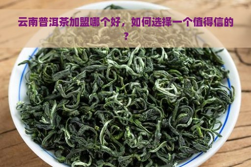 云南普洱茶加盟哪个好，如何选择一个值得信的？