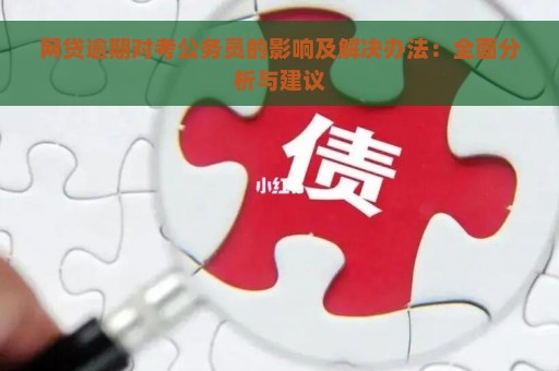 网贷逾期对考公务员的影响及解决办法：全面分析与建议