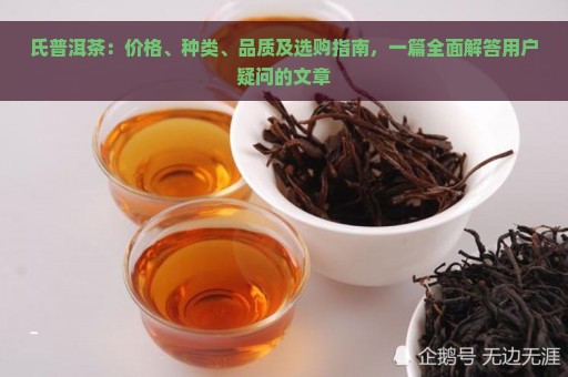 氏普洱茶：价格、种类、品质及选购指南，一篇全面解答用户疑问的文章