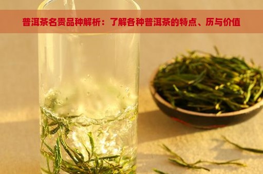 普洱茶名贵品种解析：了解各种普洱茶的特点、历与价值