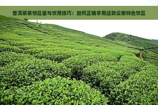 普洱茶茶饼品鉴与饮用技巧：如何正确享用这款云南特色饮品