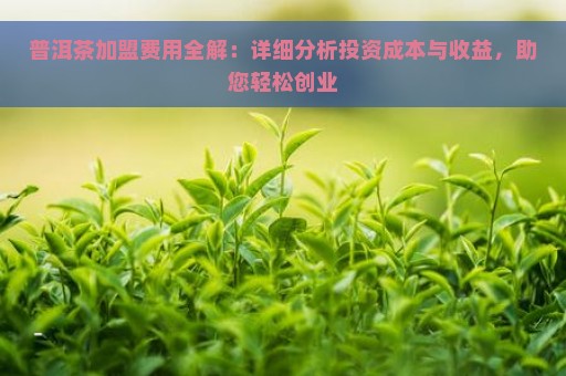 普洱茶加盟费用全解：详细分析投资成本与收益，助您轻松创业